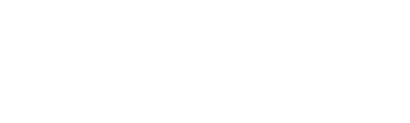 Barsan Group Logo Outline
